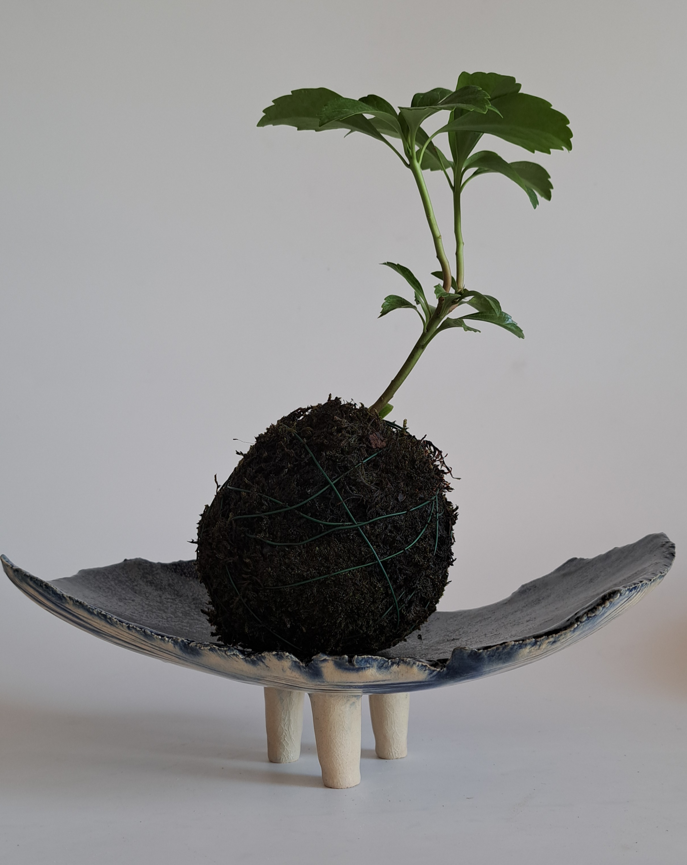 Kokedama  či minizáhradka? 3